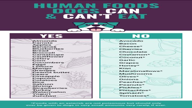 Can Dogs Eat Human Food? 50 Foods Dogs Can & Can’t Eat