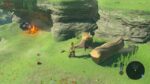 Baked Apple In Inventory Breath of the Wild